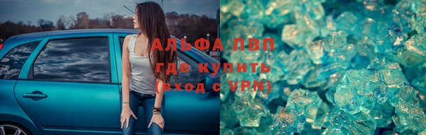 индика Алзамай